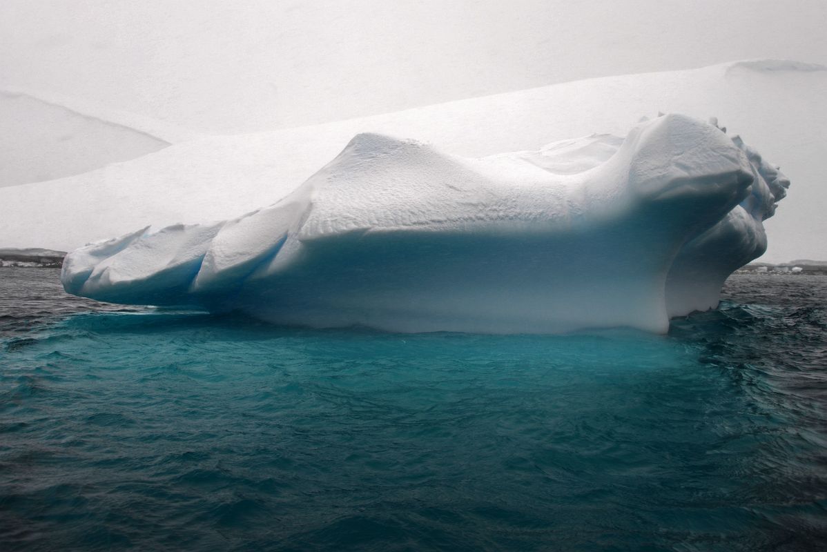 05D Iceberg In Foyn Harbour On Quark Expeditions Antarctica Cruise
